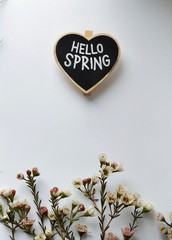 Hello spring chalkboard with small white flowers
