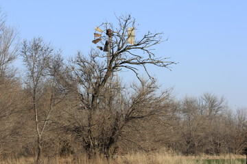 Kansas Broken Windmill in a tree at Sunset with blue sky.