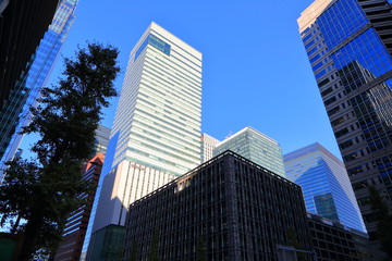東京大手町のオフィス街