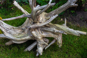 A fancy wooden stump lies on the green grass.
