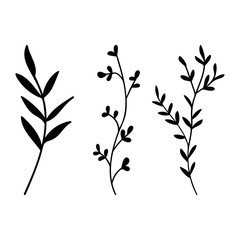 Leaves and plants hand drawn flat illustration. Botanical design elements. Vector sketch clip art set.