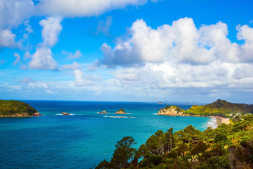 Obraz premium Road on the North Island
