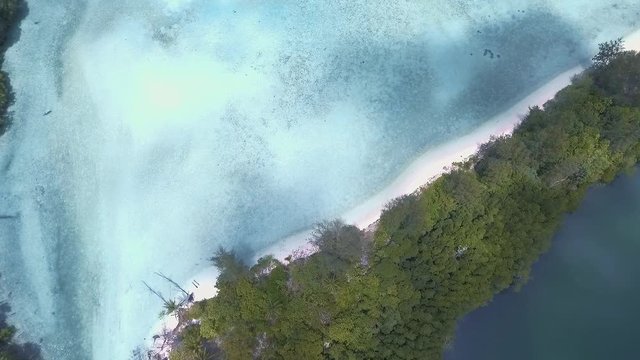 Transparent waters on Sula Island, North Maluku, Indonesia.