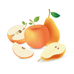 Apples and pears on a white background. Whole and slices with green leaves. Balanced composition. Vector illustration.