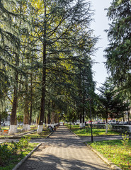 Central alley in the Zugdidi City Center - Liberty Square in Zugdidi city in Georgia