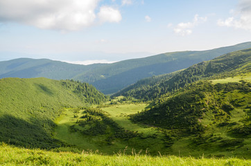 Fototapeta premium Beautiful landscape in the Carpathians with fresh green meadows, dense forests, mountain ranges in the background, Ukraine