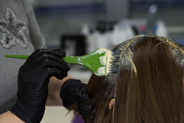 Fototapeta premium Professional hairdresser putting color mask dyeing hair of woman in beauty salon. Coloring hair spa and care procedures