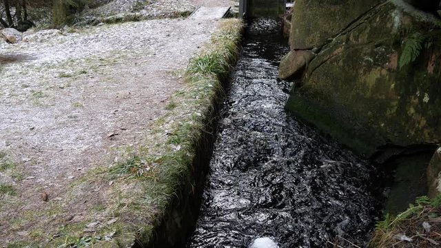 Rehberger Grabens am Grundablass