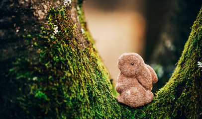Rabbit toy nature. Easter concept. 