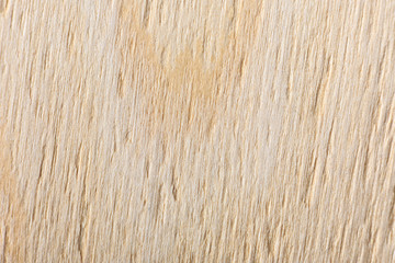 Texture of birch plywood use as background or wallpaper