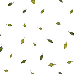 vector and beauty pattern of green leaf