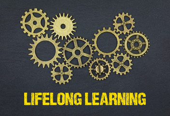 Lifelong Learning