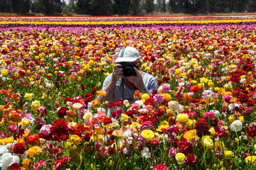 Photographer with a professional camera