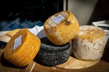 cheese shop counter with a large selection of cheese