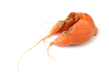 Funny ugly carrot