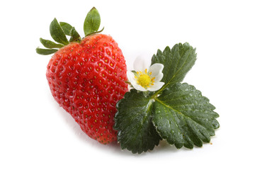 Strawberry isolated on white background