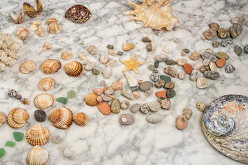 star, stones and shells lying on a marble background, composition of sea stones and seashells, marine composition, composition of seashells, starfish, jellyfish, 