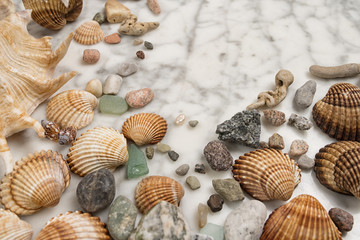 sea pearl in the center of the frame,  stones and shells lying on a marble background, composition of sea stones and seashells, marine composition, composition of seashells, jellyfish