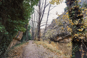 Paseo