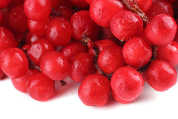 Schisandra Chinensis isolated on white