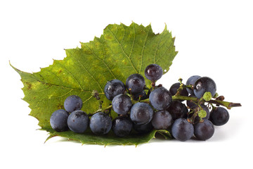 Wine grape and leaves isolated on white