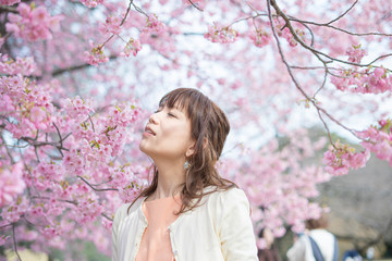 桜の木の下で撮るポートレート