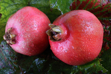 Pomegranate on autumn leaves