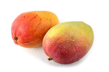 Mango fruits isolated on white