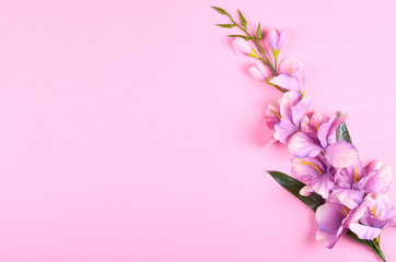 Decorative flowers on pink background composition.