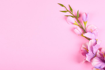 Naklejka na ściany i meble Decorative flowers on pink background composition.