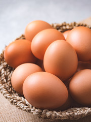 Organic chicken eggs food ingredients concept