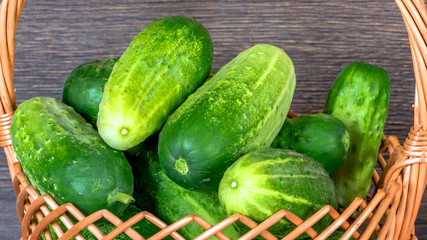 Green ripe cucumbers in wicker basket close up_