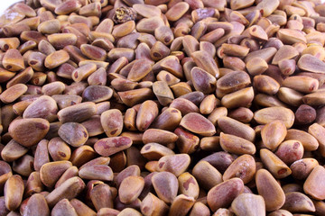 Cedar nuts background