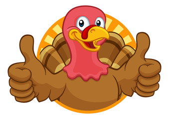 Turkey Thanksgiving or Christmas bird animal cartoon character giving a thumbs up