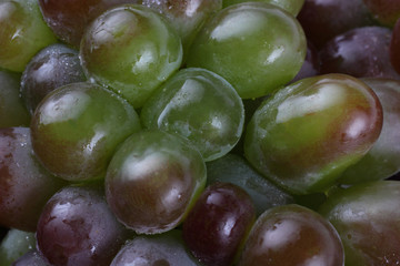 Grape background. Macro