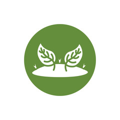 house plant cultivating block style