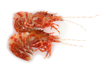 Shrimps isolated on white (northern Bering shrimp)