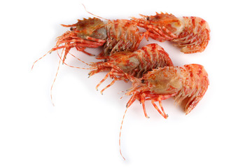 Shrimps isolated on white (northern Bering shrimp)