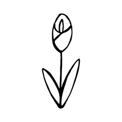 set of simple summer flowers drawings. abstract flower illustration. hand drawn vector art.