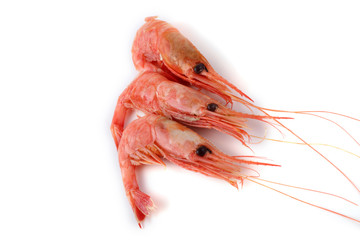 Shrimps isolated on white