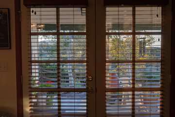 shutter on a french door, garden