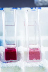 Test tubes in laboratory for covid19