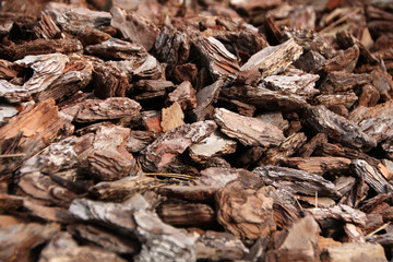 Texture crushed fragments bark of wood.