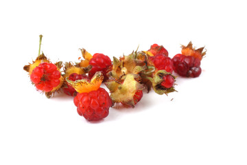 Korean raspberry (Rubus crataegifolius) - obrazy, fototapety, plakaty
