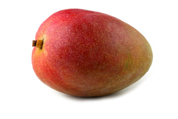 Mango isolated on white