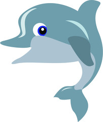 dolphin illustration