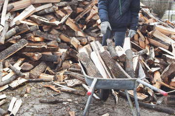 Young man in gloved hand throwing firewood in old metal wheelbarrow and pile of  firewood on background in yard. Teen boy works outdoors in spring and preparation of firewood concept.