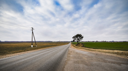 Fototapeta na wymiar landscape with tree and road