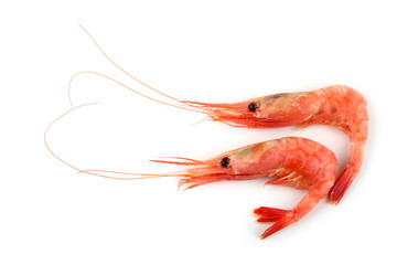 Shrimps isolated on white