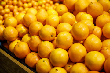 citrus oranges in the store